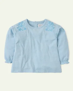 Ice Blue Embroidered Top