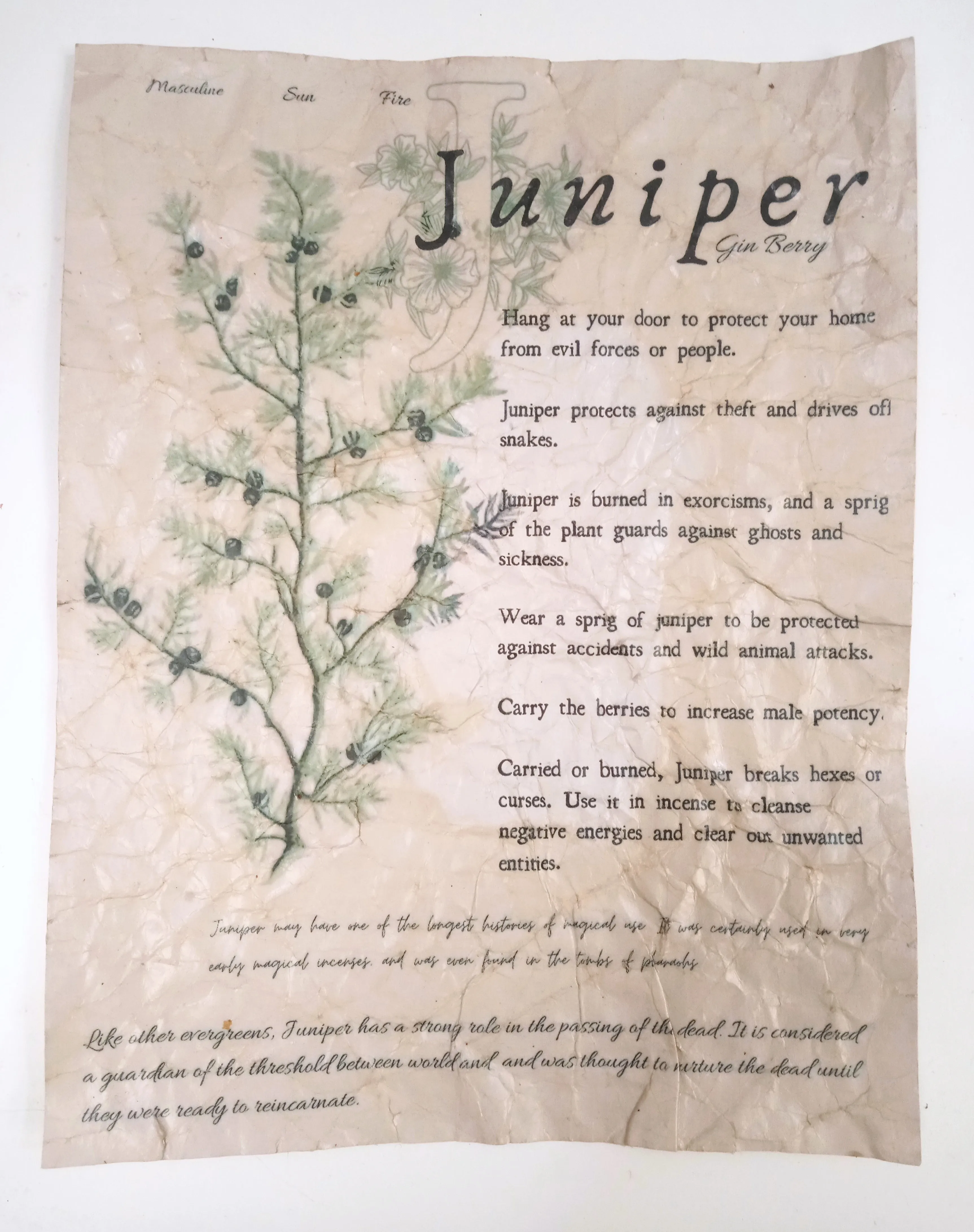 Magical Herbalism Prints