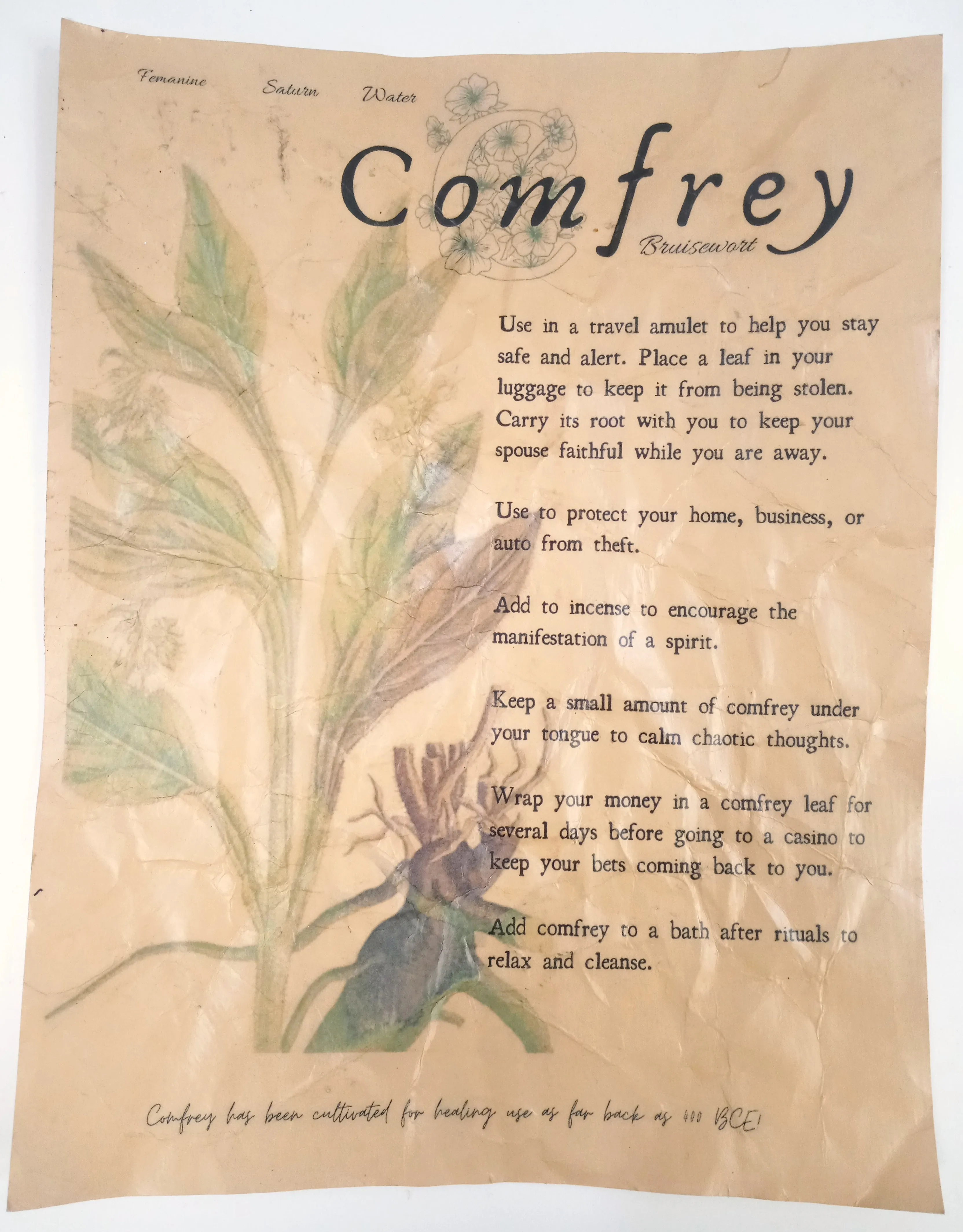 Magical Herbalism Prints