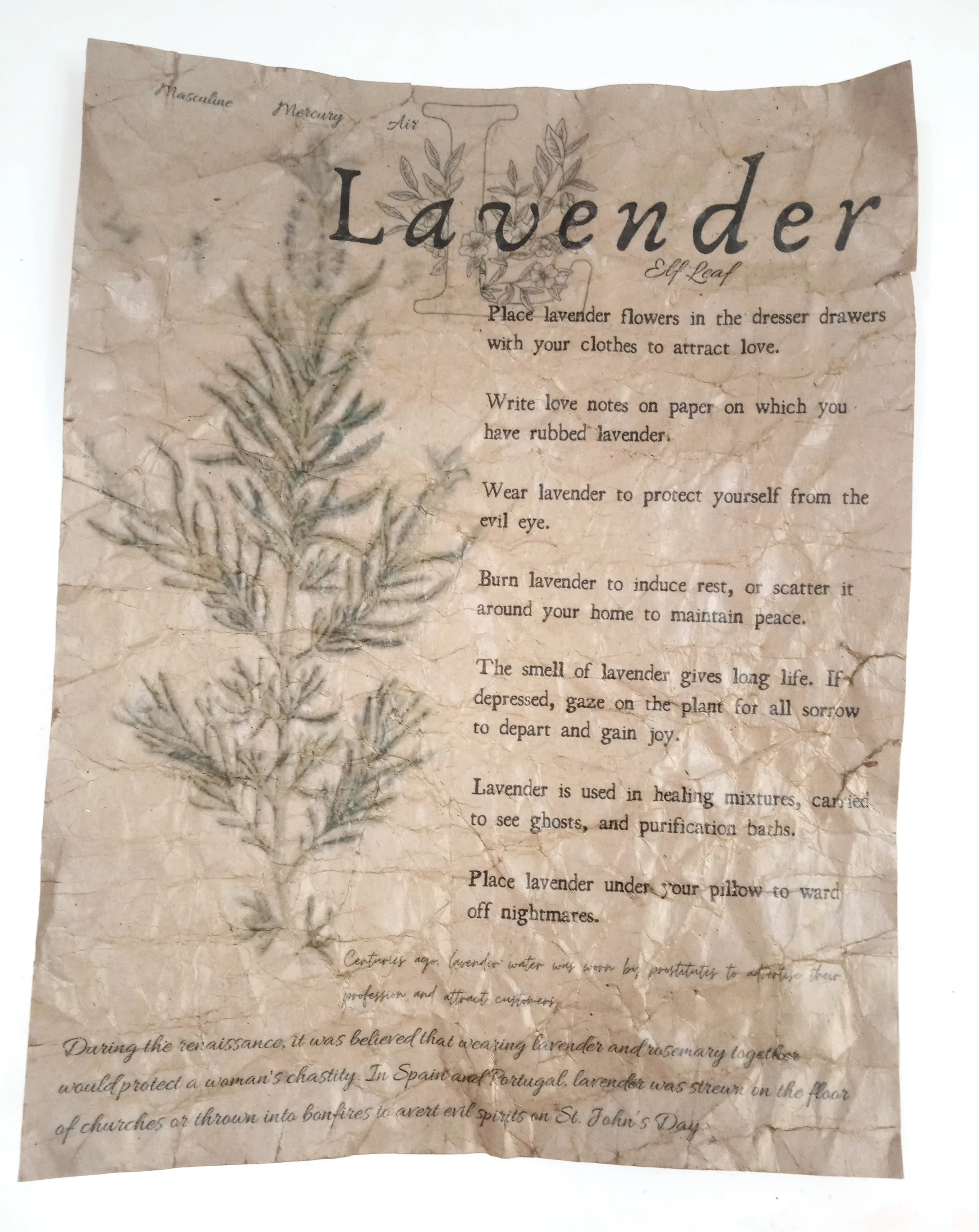 Magical Herbalism Prints