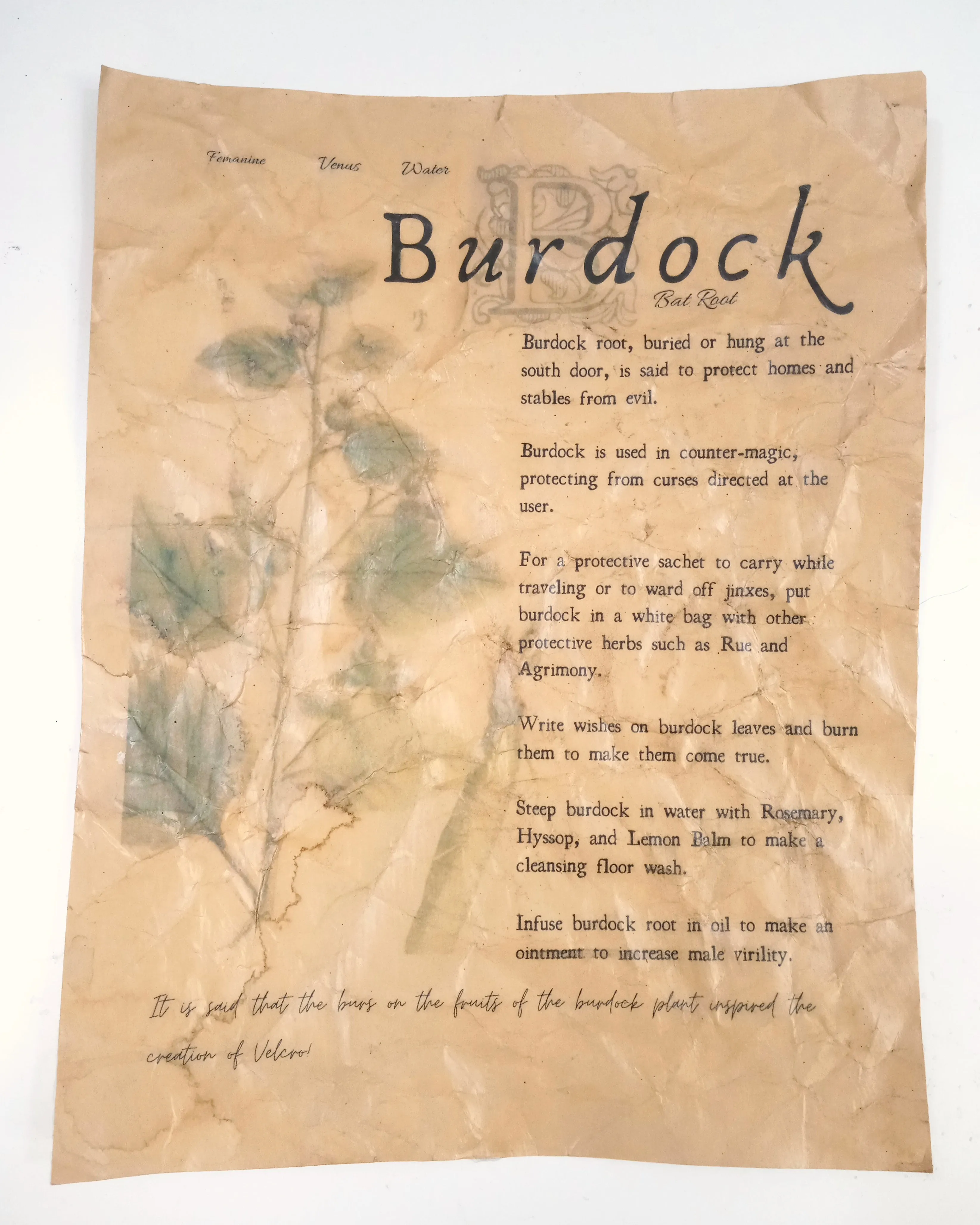 Magical Herbalism Prints