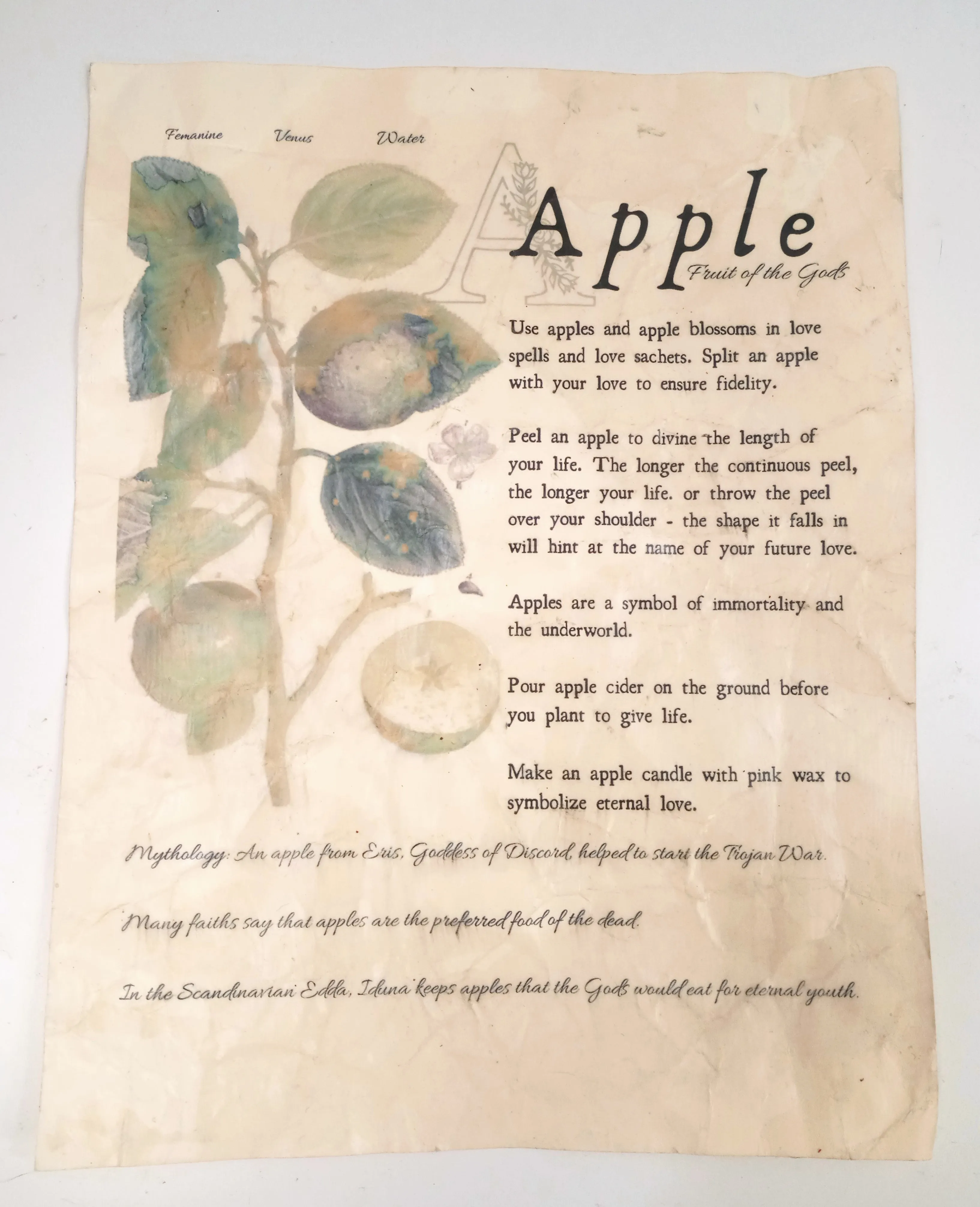 Magical Herbalism Prints