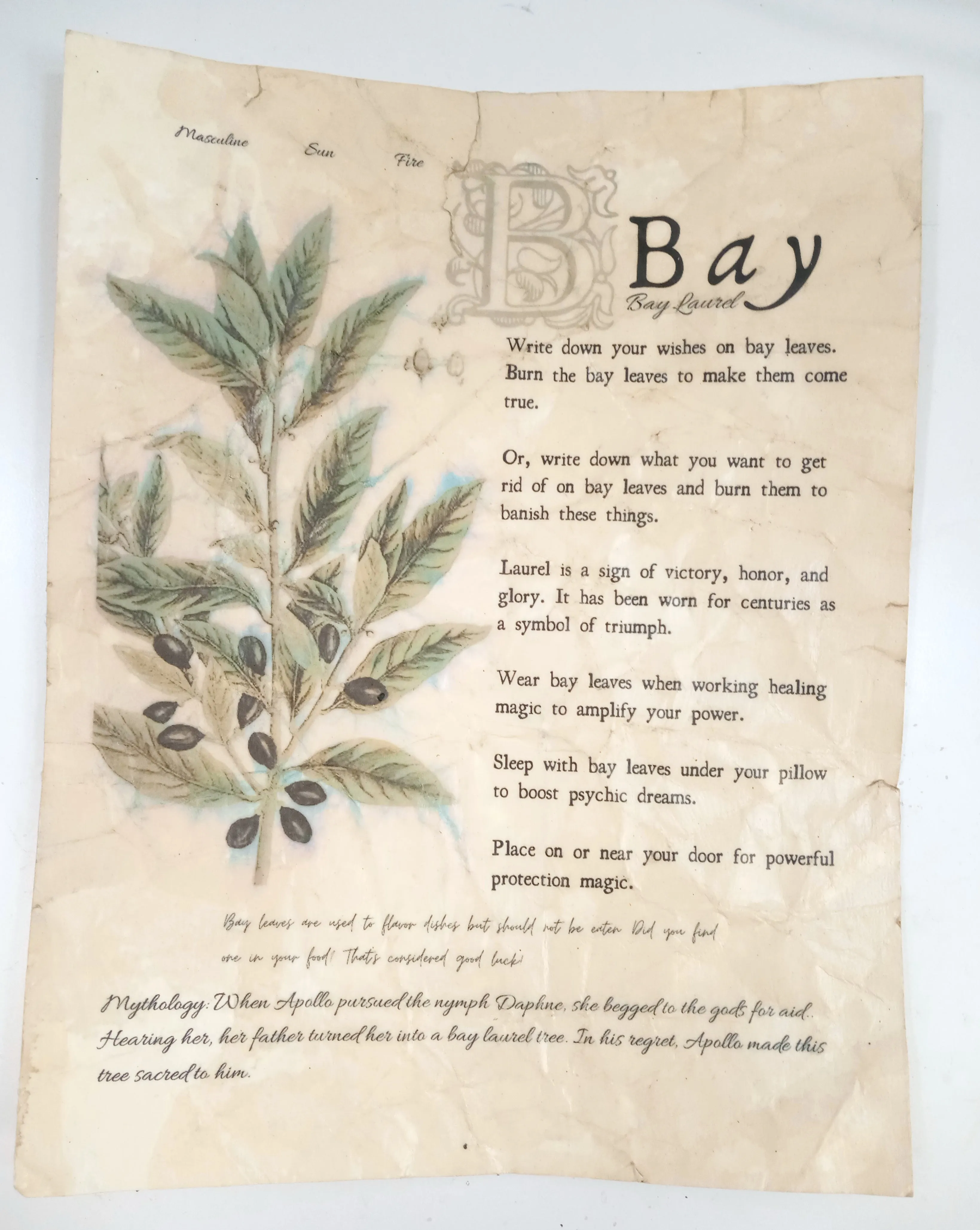 Magical Herbalism Prints