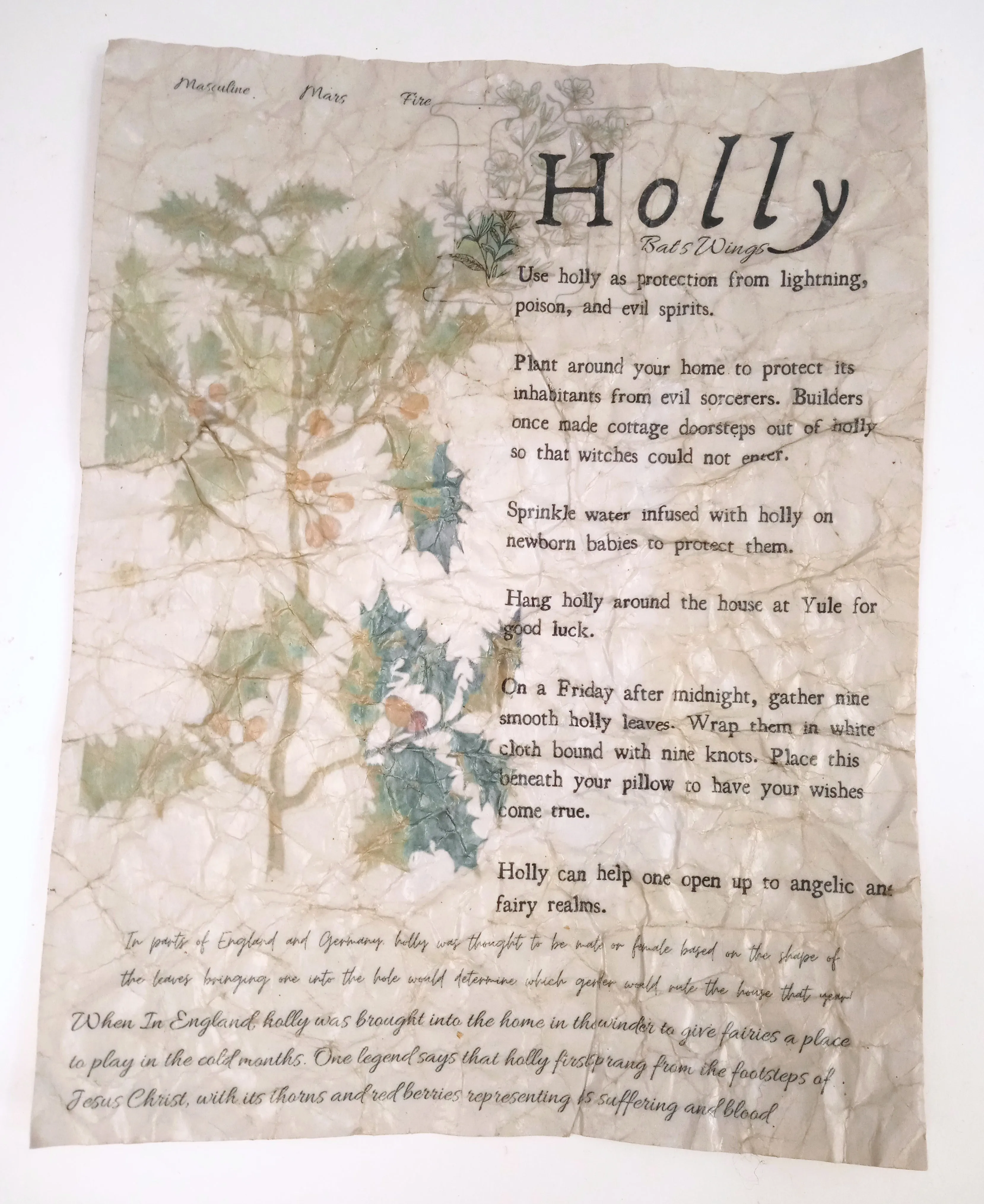 Magical Herbalism Prints
