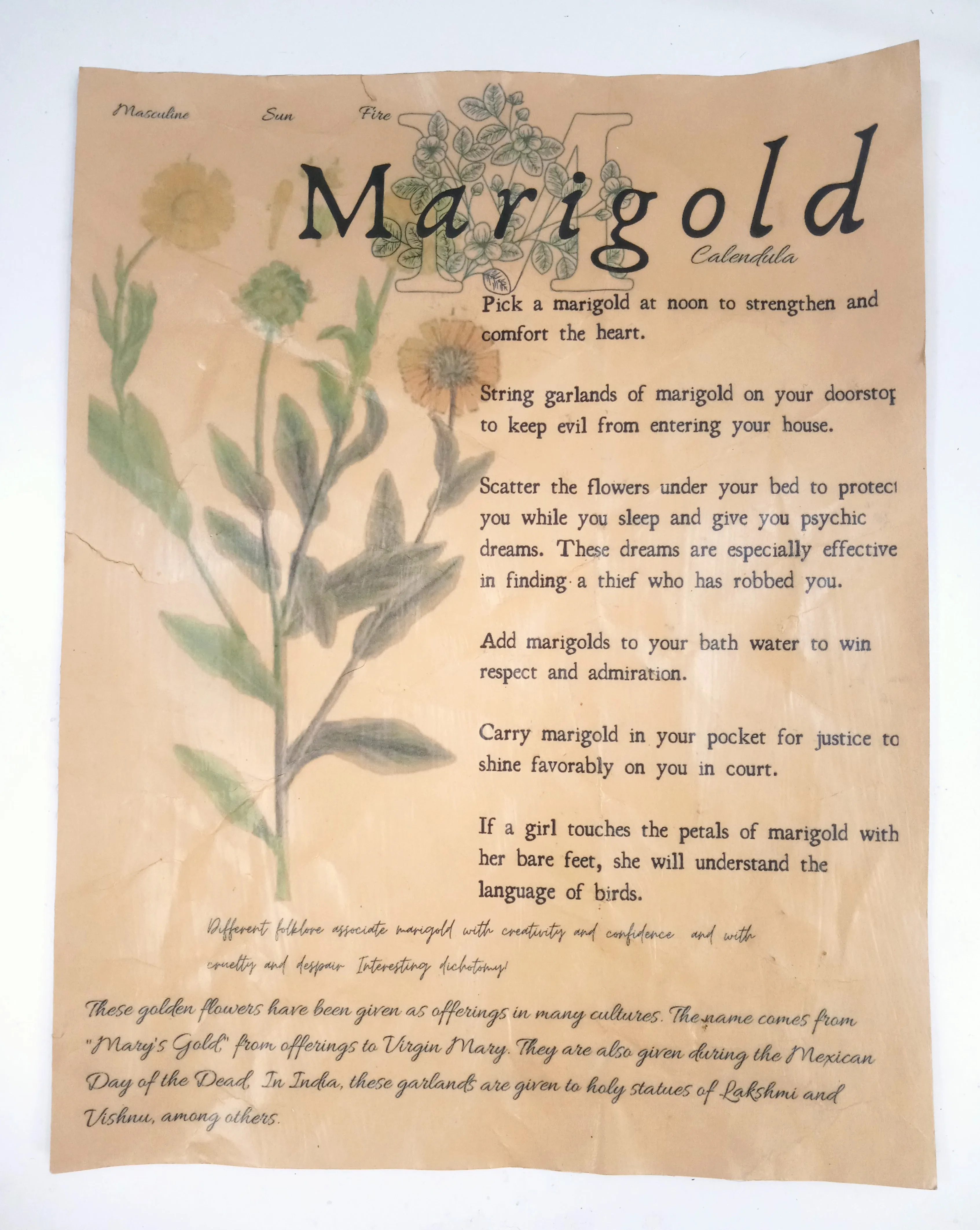 Magical Herbalism Prints
