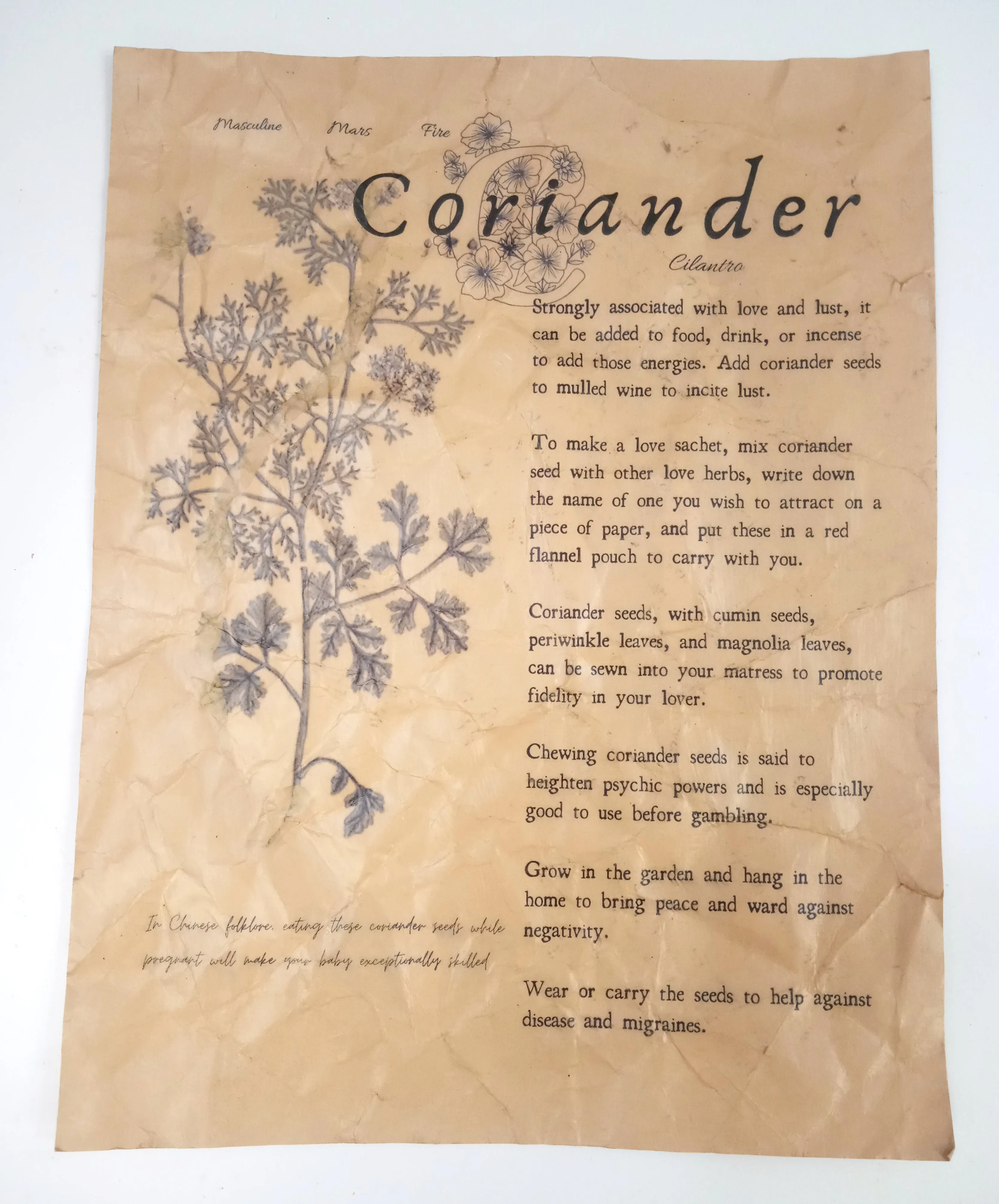 Magical Herbalism Prints