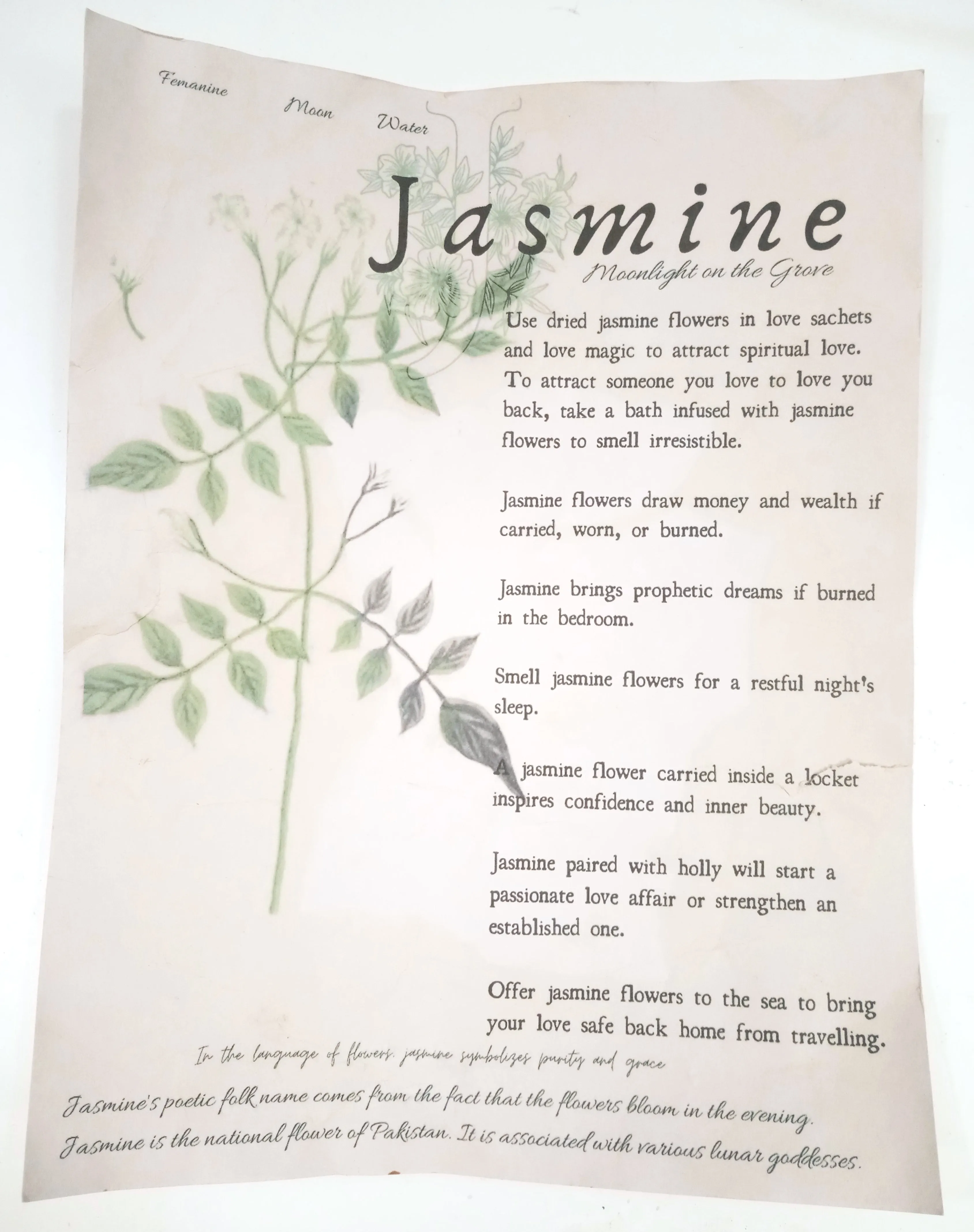 Magical Herbalism Prints