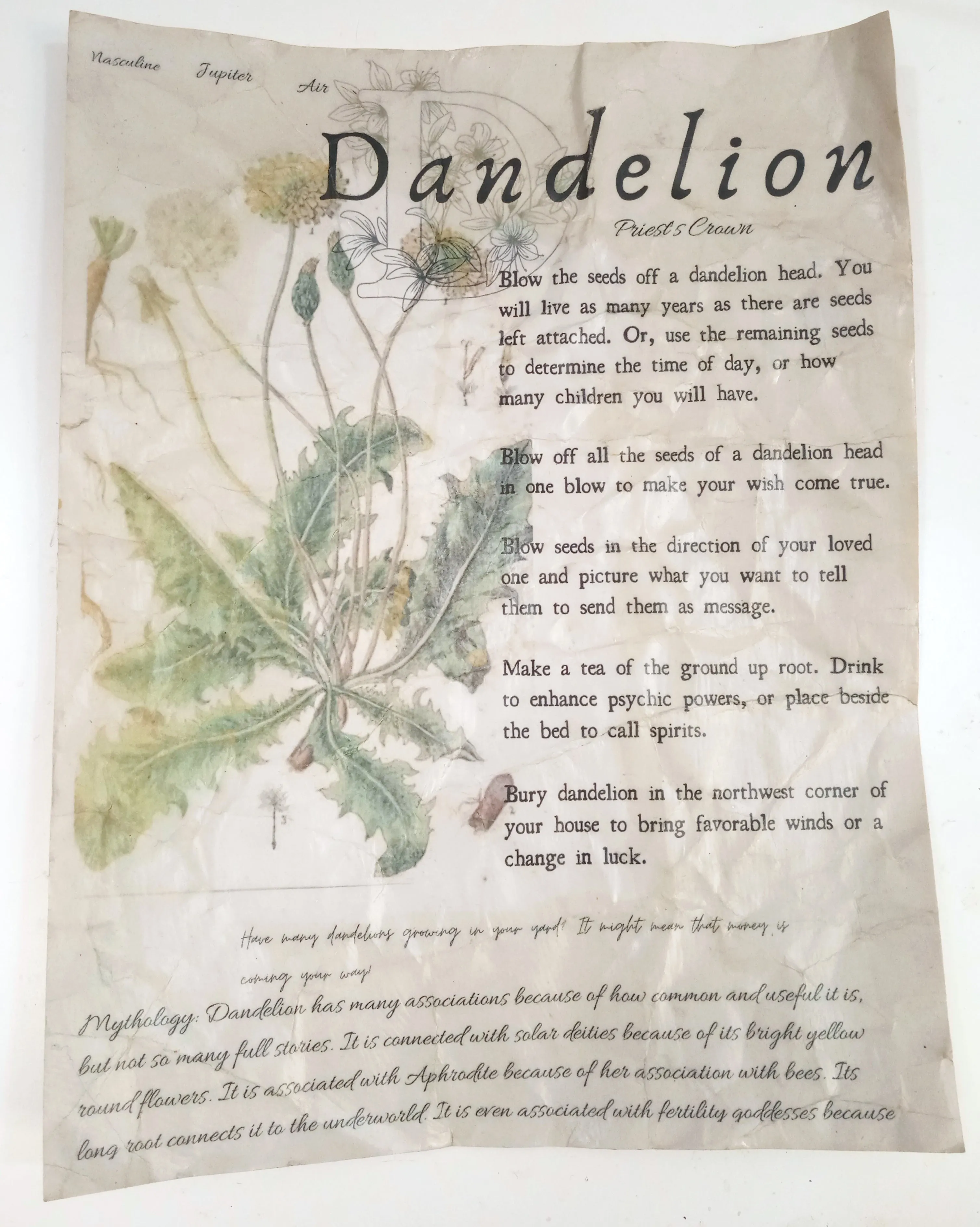 Magical Herbalism Prints