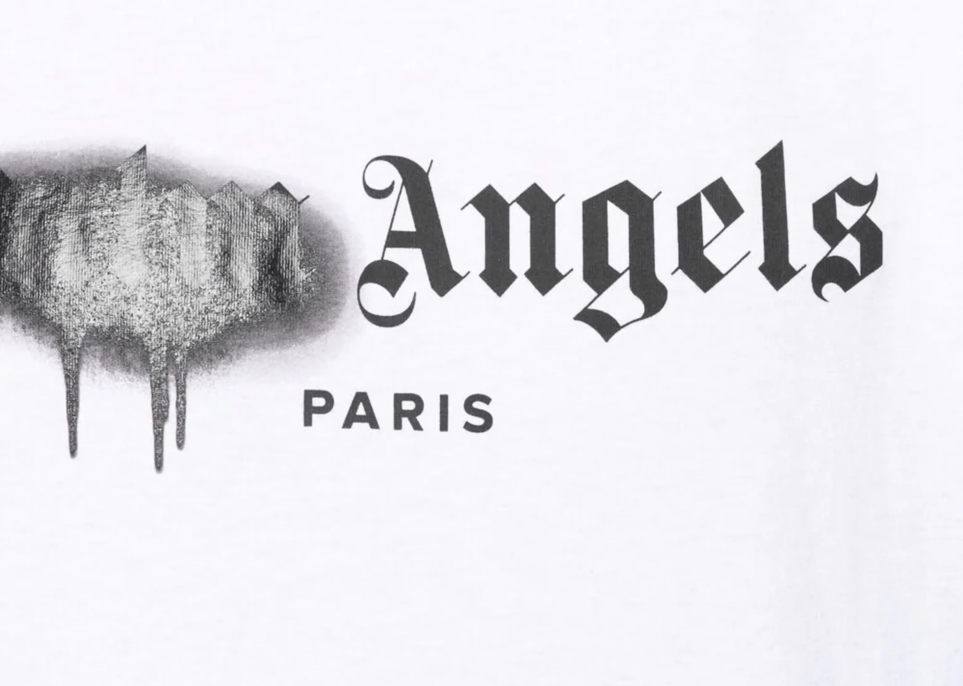 Palm Angels - Black Sprayed Paris White T-Shirt